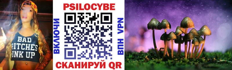 Псилоцибиновые грибы Psilocybine cubensis  купить наркотики сайты  Гуково 