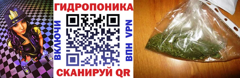 Бошки Шишки Amnesia  Гуково 